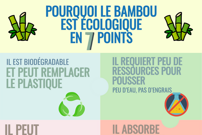 Pourquoi le bambou est écologique en 7 points (infographie)