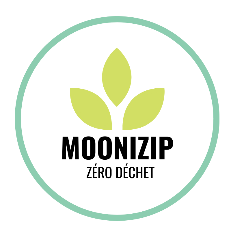 Les produits à usage unique et leurs alternatives zéro déchet en infog –  Moonizip